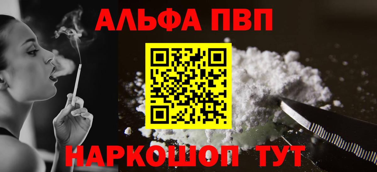 A PVP СК КРИС Алейск