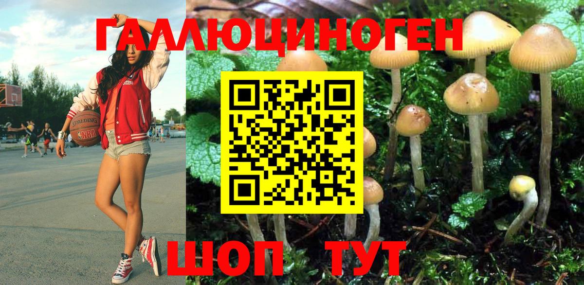Псилоцибиновые грибы прущие грибы Алейск